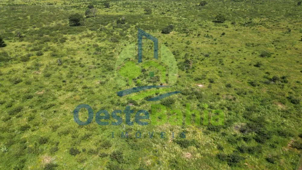 Fazenda, 1402 hectares - Foto 2