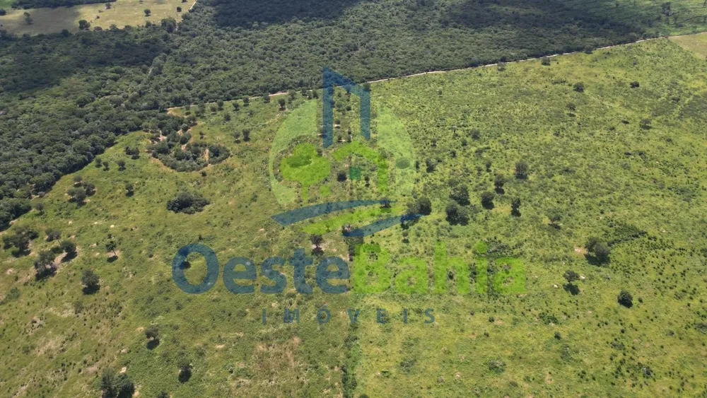 Fazenda, 1402 hectares - Foto 10