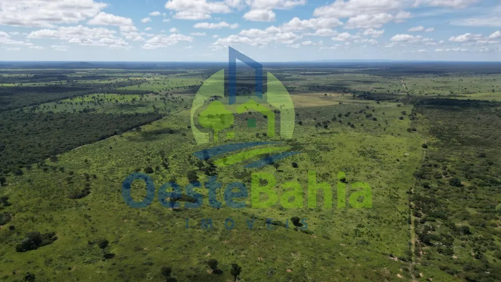 Fazenda, 1402 hectares - Foto 8
