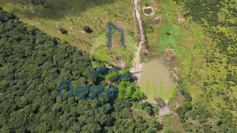 Fazenda, 1402 hectares - Foto 7