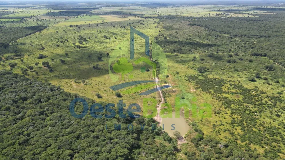Fazenda, 1402 hectares - Foto 6