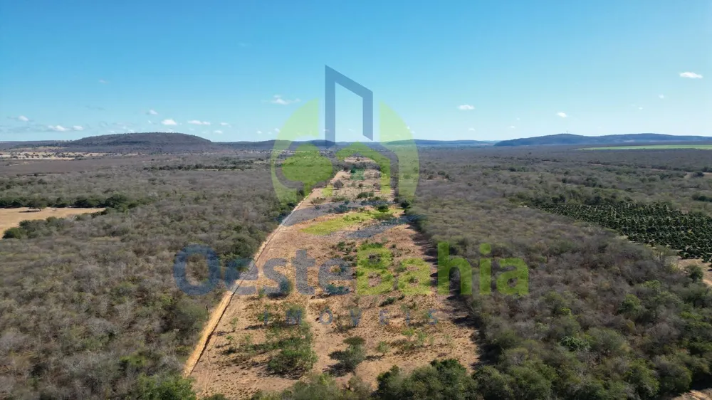 Fazenda, 41 hectares - Foto 3