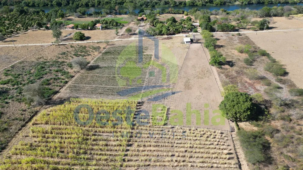 Fazenda, 41 hectares - Foto 5