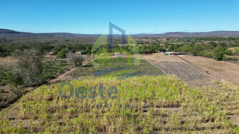 Fazenda, 41 hectares - Foto 10