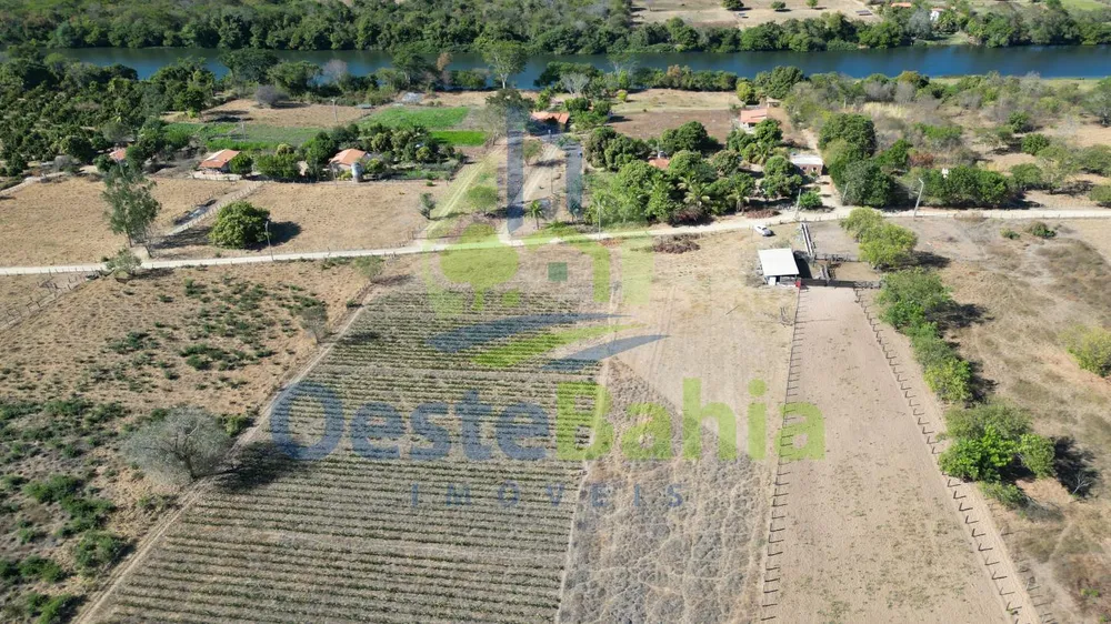 Fazenda, 41 hectares - Foto 4