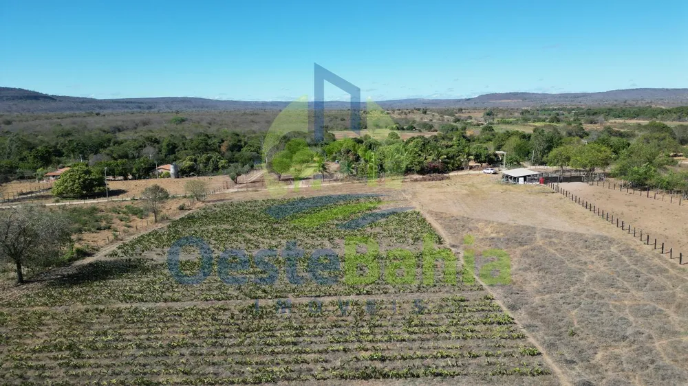 Fazenda, 41 hectares - Foto 11
