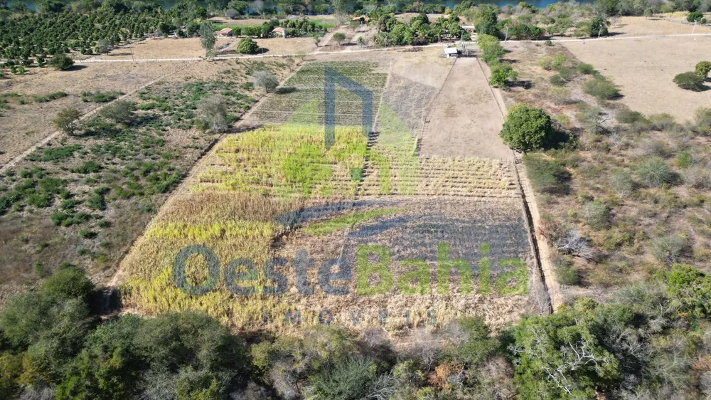 Fazenda, 41 hectares - Foto 6