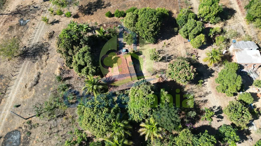Fazenda, 41 hectares - Foto 7