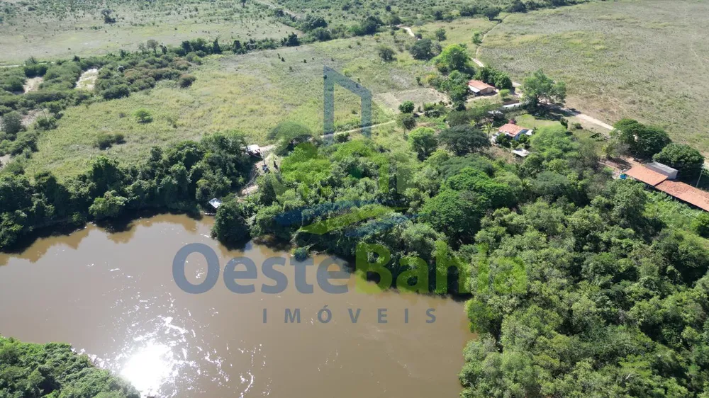 Fazenda, 198 hectares - Foto 6
