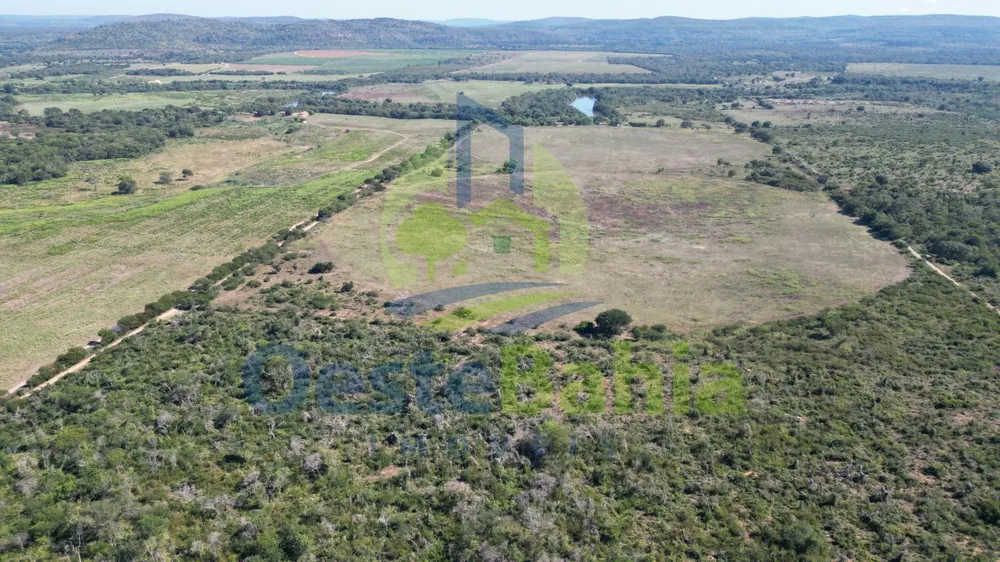 Fazenda, 198 hectares - Foto 10