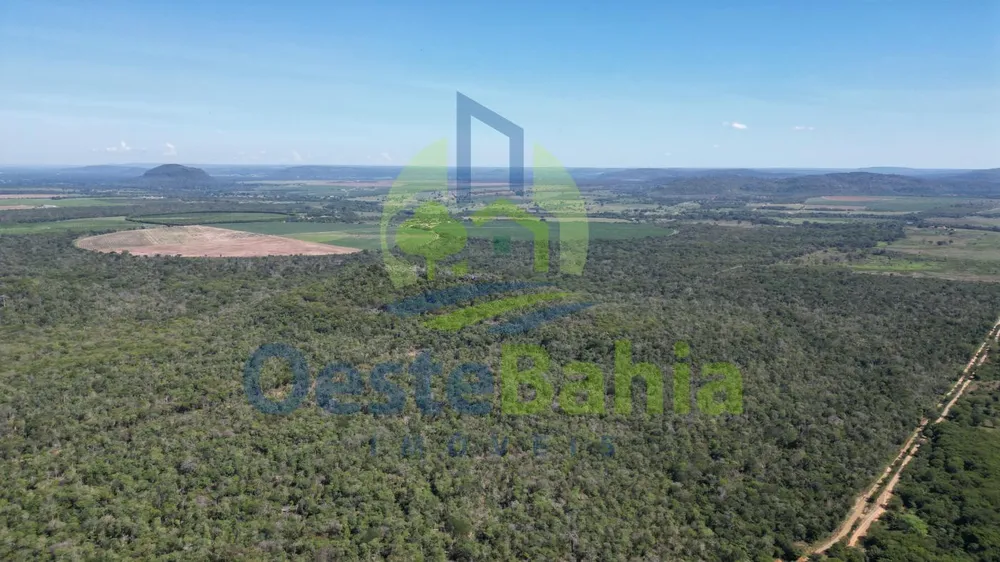 Fazenda, 198 hectares - Foto 8