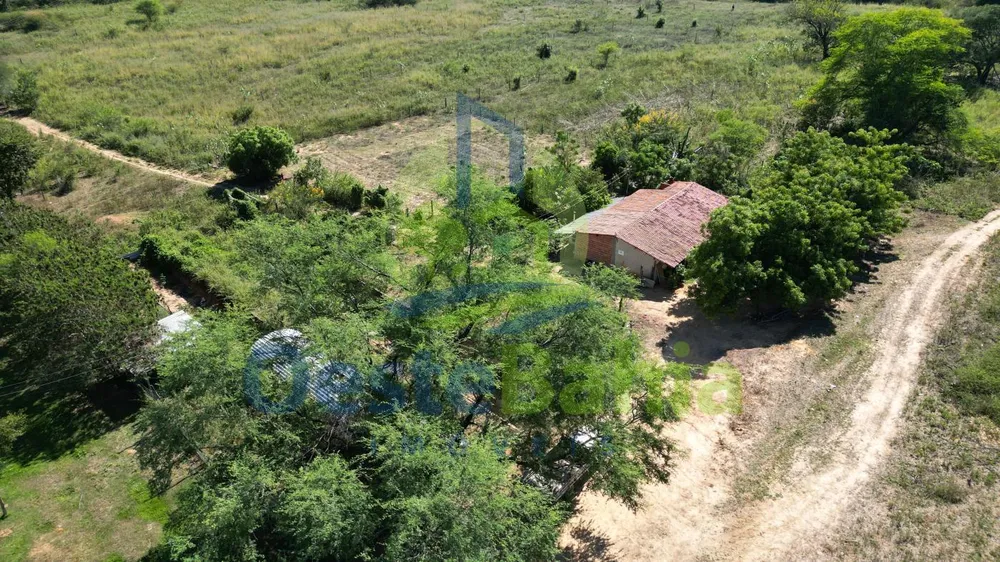 Fazenda, 198 hectares - Foto 13