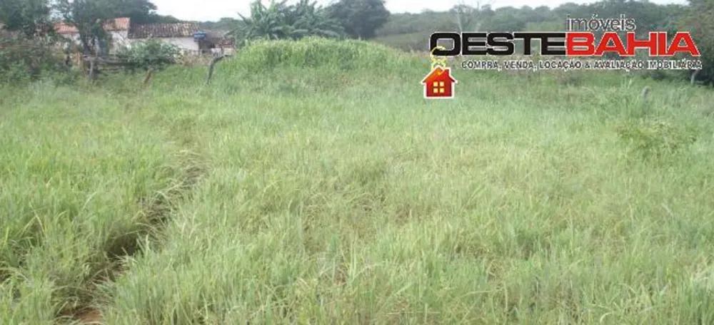 Fazenda, 934 hectares - Foto 4