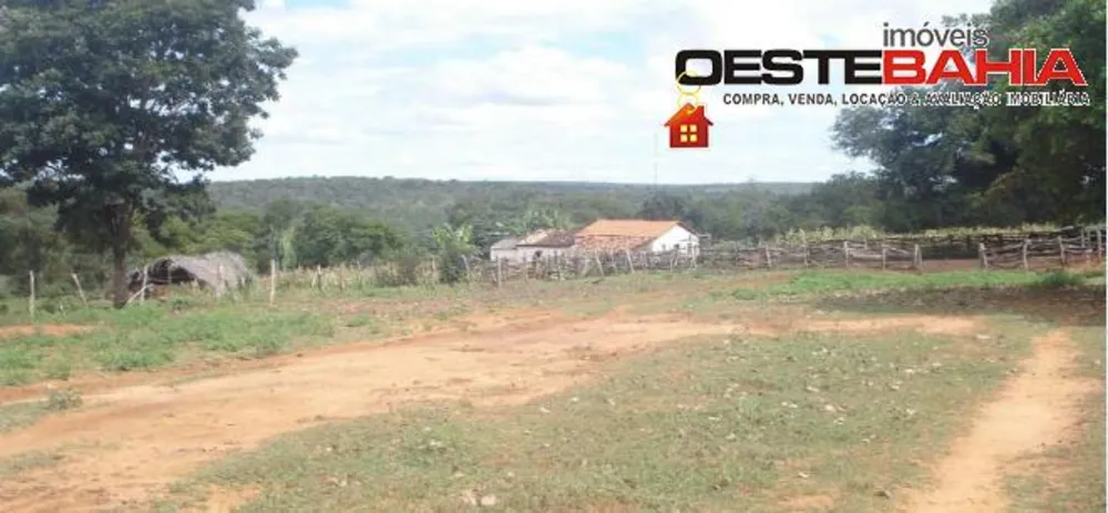 Fazenda, 934 hectares - Foto 8
