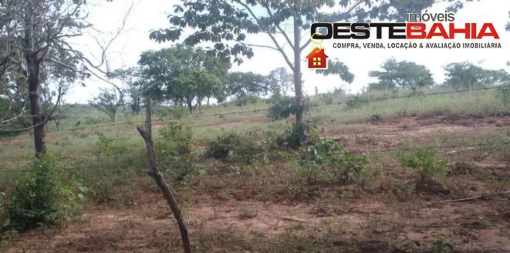 Fazenda, 934 hectares - Foto 7