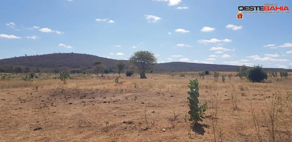 Fazenda, 440 hectares - Foto 13