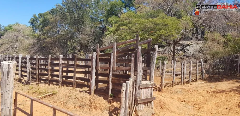 Fazenda, 440 hectares - Foto 14