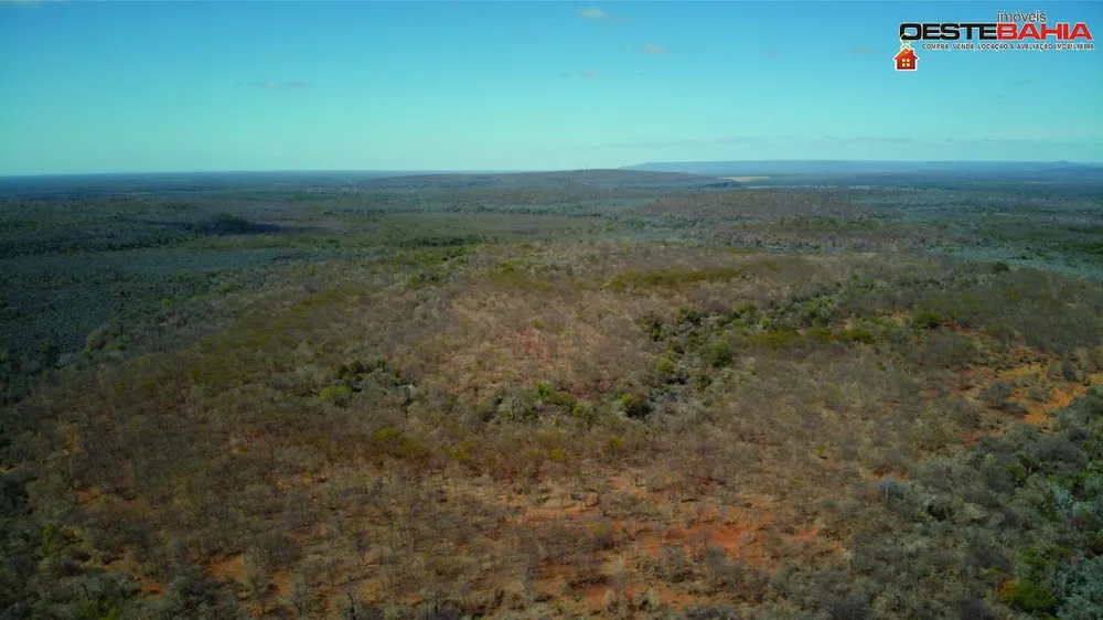 Fazenda, 440 hectares - Foto 12
