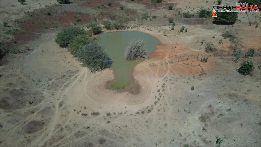 Fazenda, 440 hectares - Foto 8