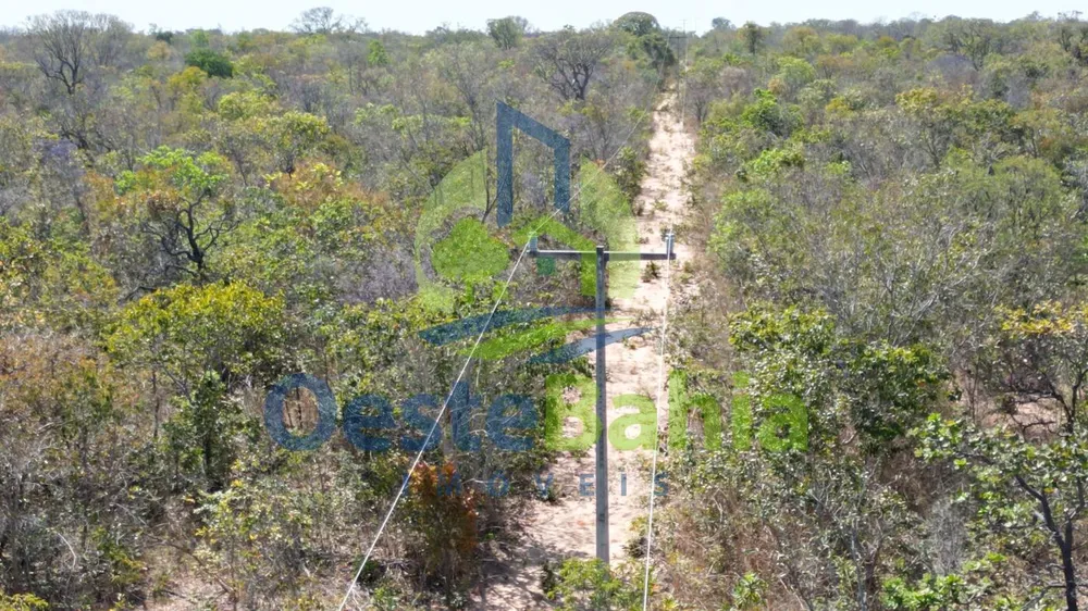 Fazenda, 11000 hectares - Foto 11