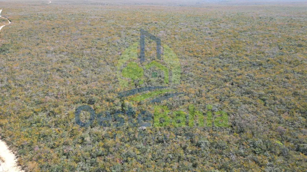 Fazenda, 1687 hectares - Foto 9
