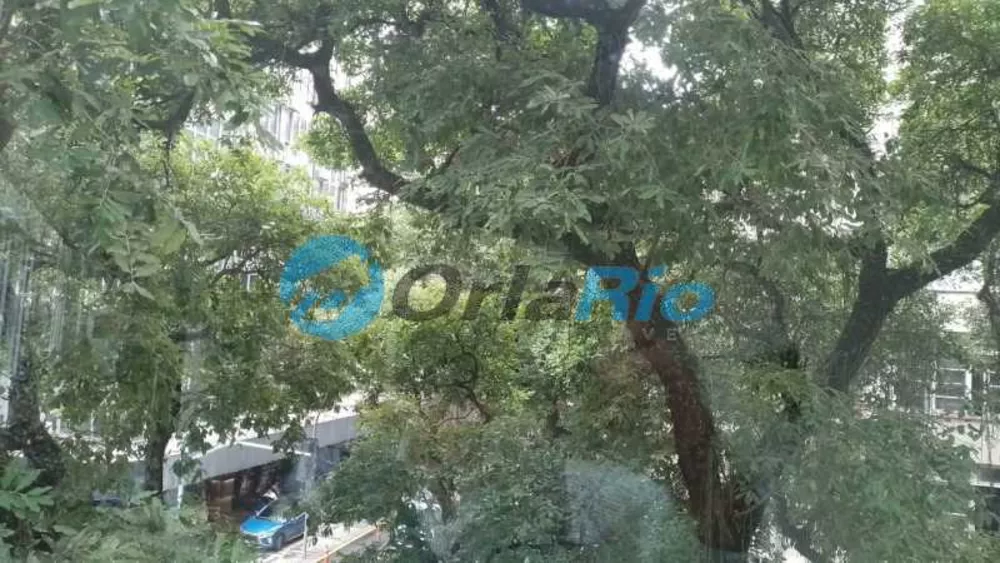 Apartamento, 4 quartos, 288 m² - Foto 20