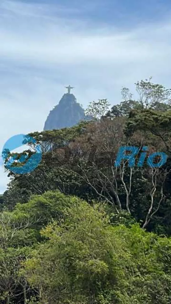 Cobertura, 4 quartos, 442 m² - Foto 14