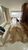 Apartamento, 3 quartos, 127 m² - Foto 3