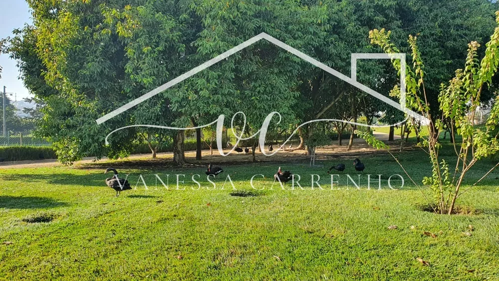 Casa, 4 quartos - Foto 15