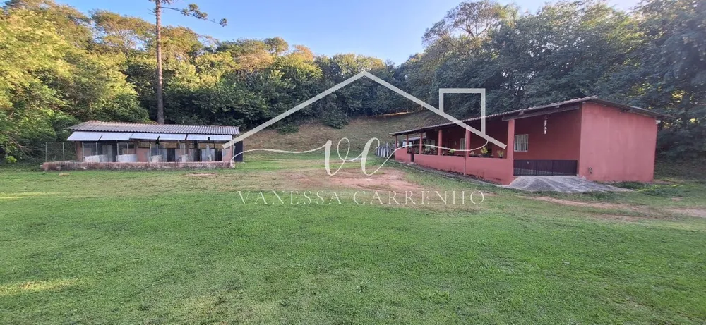 Chácara, 2 quartos, 4305 m² - Foto 10