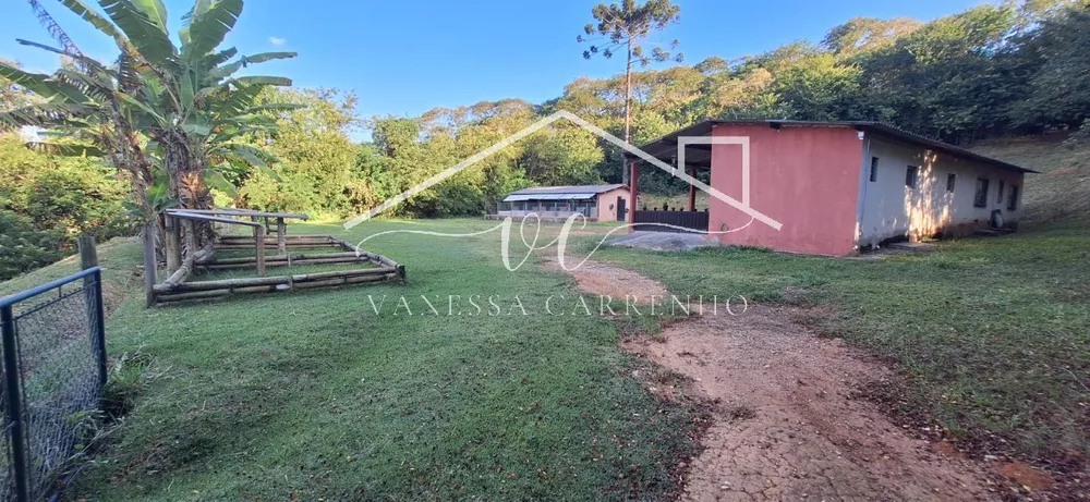 Chácara, 2 quartos, 4305 m² - Foto 1