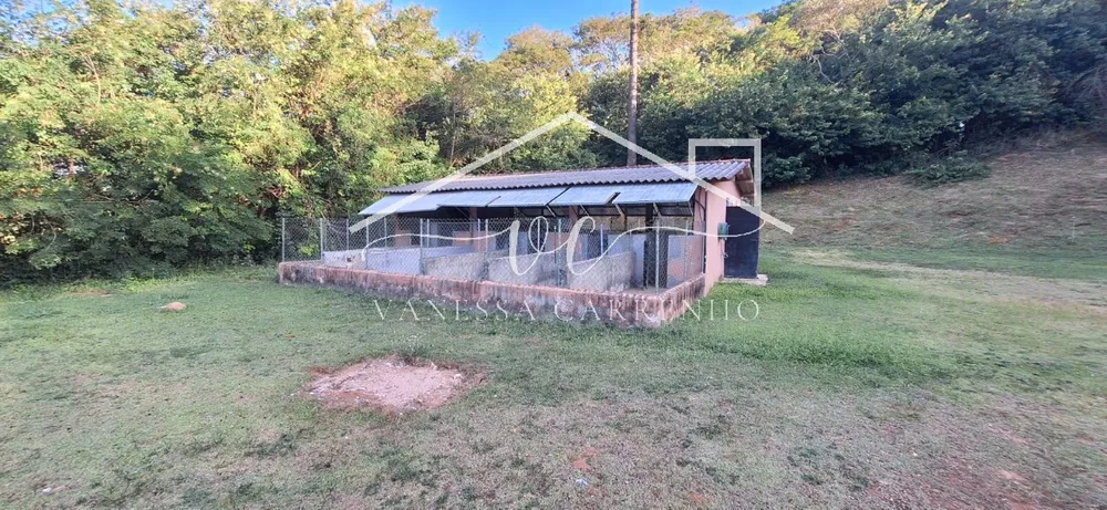 Chácara, 2 quartos, 4305 m² - Foto 9