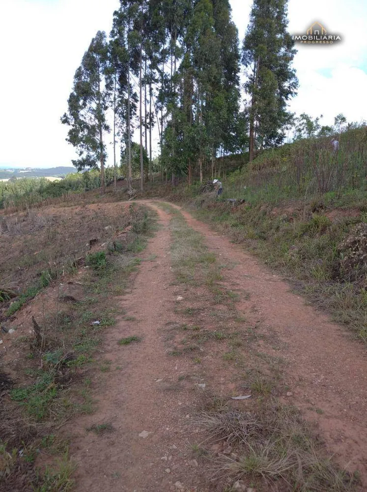Chácara, 2 quartos, 18 hectares - Foto 4