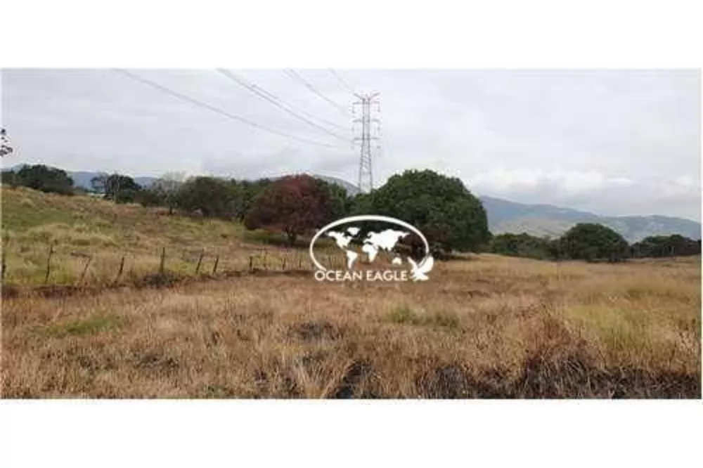 Terreno, 21 hectares - Foto 4