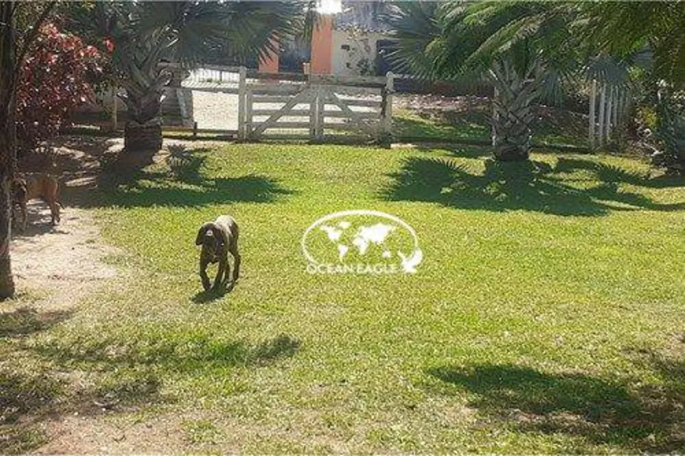 Terreno, 5757 m² - Foto 7