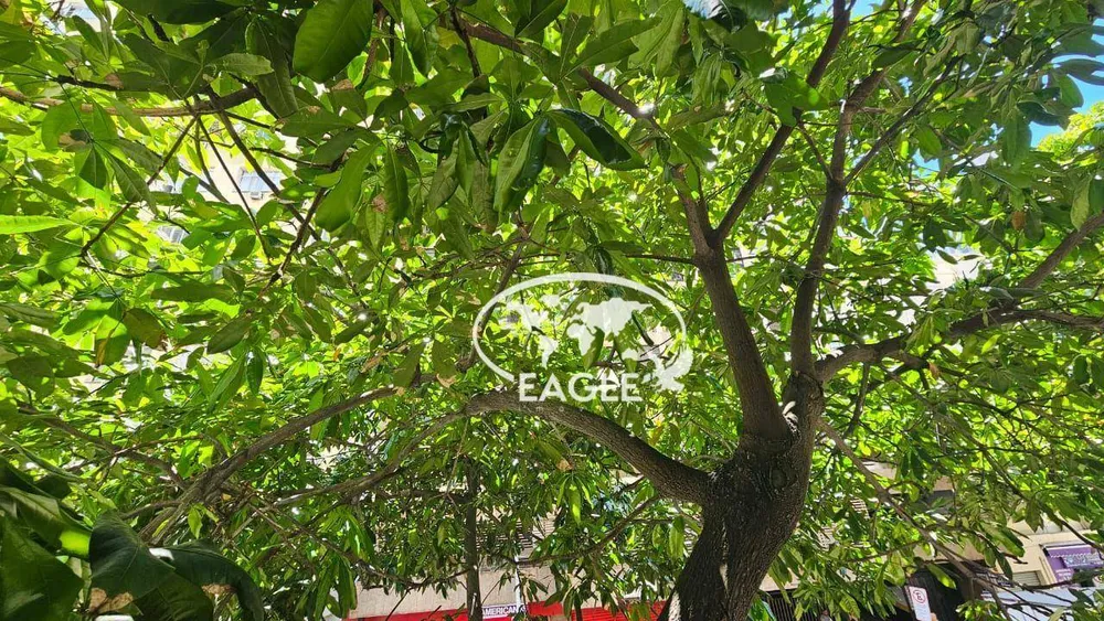 Apartamento, 4 quartos, 202 m² - Foto 2