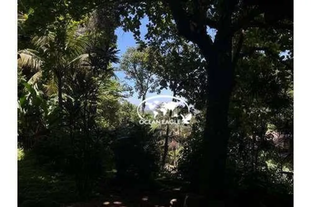 Casa, 3 quartos, 360 m² - Foto 14