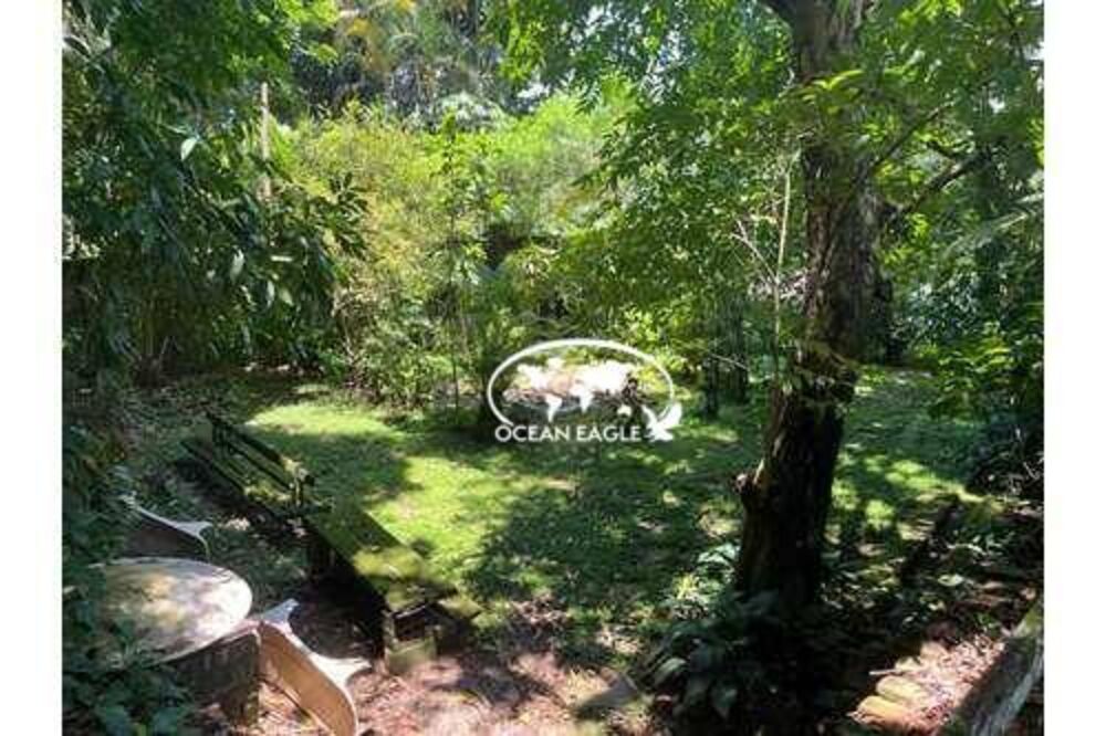 Casa, 3 quartos, 360 m² - Foto 3