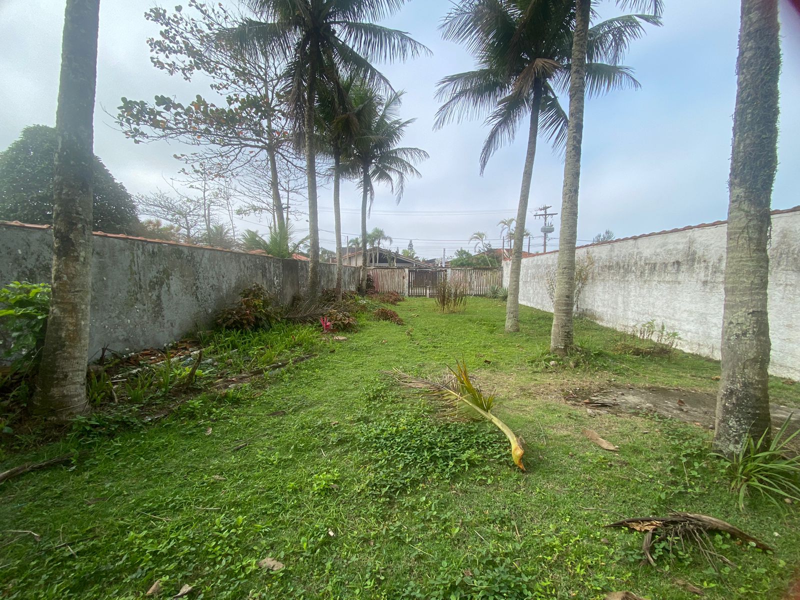 Terreno à venda, 250m² - Foto 8