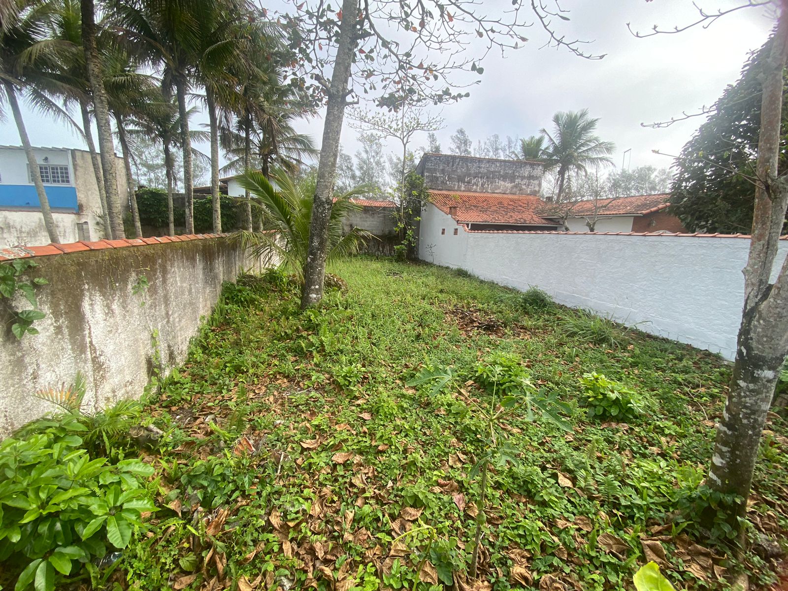 Terreno à venda, 250m² - Foto 6