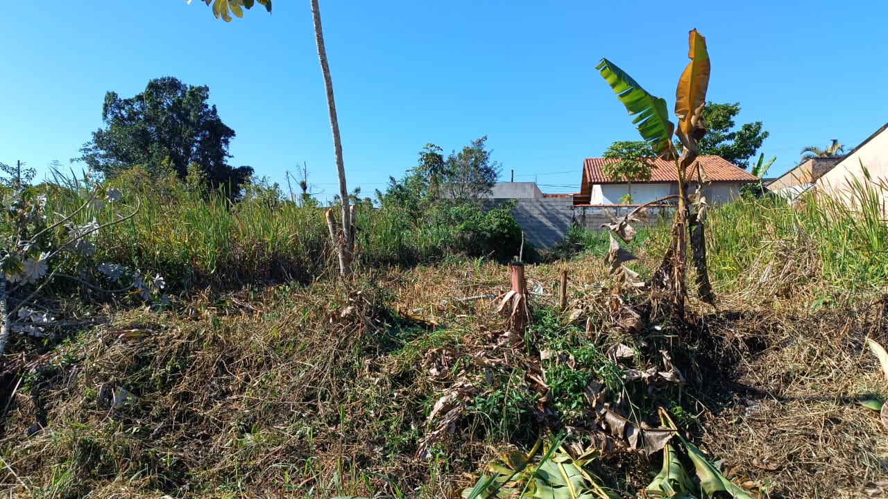 Terreno à venda, 780m² - Foto 2