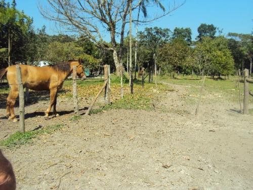 Chácara à venda com 1 quarto, 72600m² - Foto 13