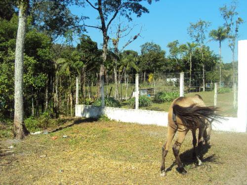 Chácara à venda com 1 quarto, 72600m² - Foto 11