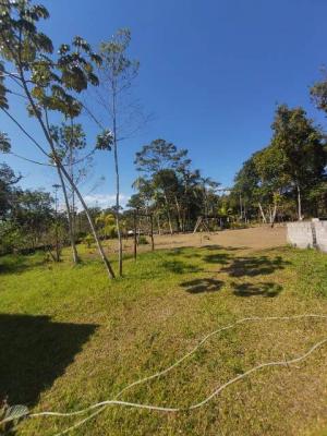 Chácara à venda com 3 quartos, 5000m² - Foto 4