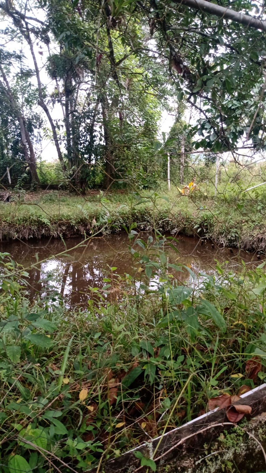 Chácara à venda com 4 quartos, 3000m² - Foto 2