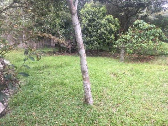 Chácara à venda, 250m² - Foto 9