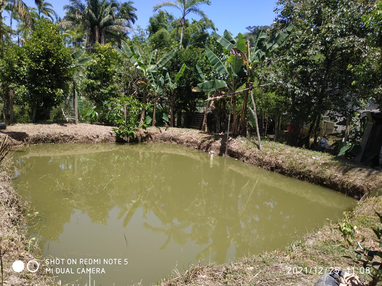 Chácara à venda com 3 quartos, 4000m² - Foto 5