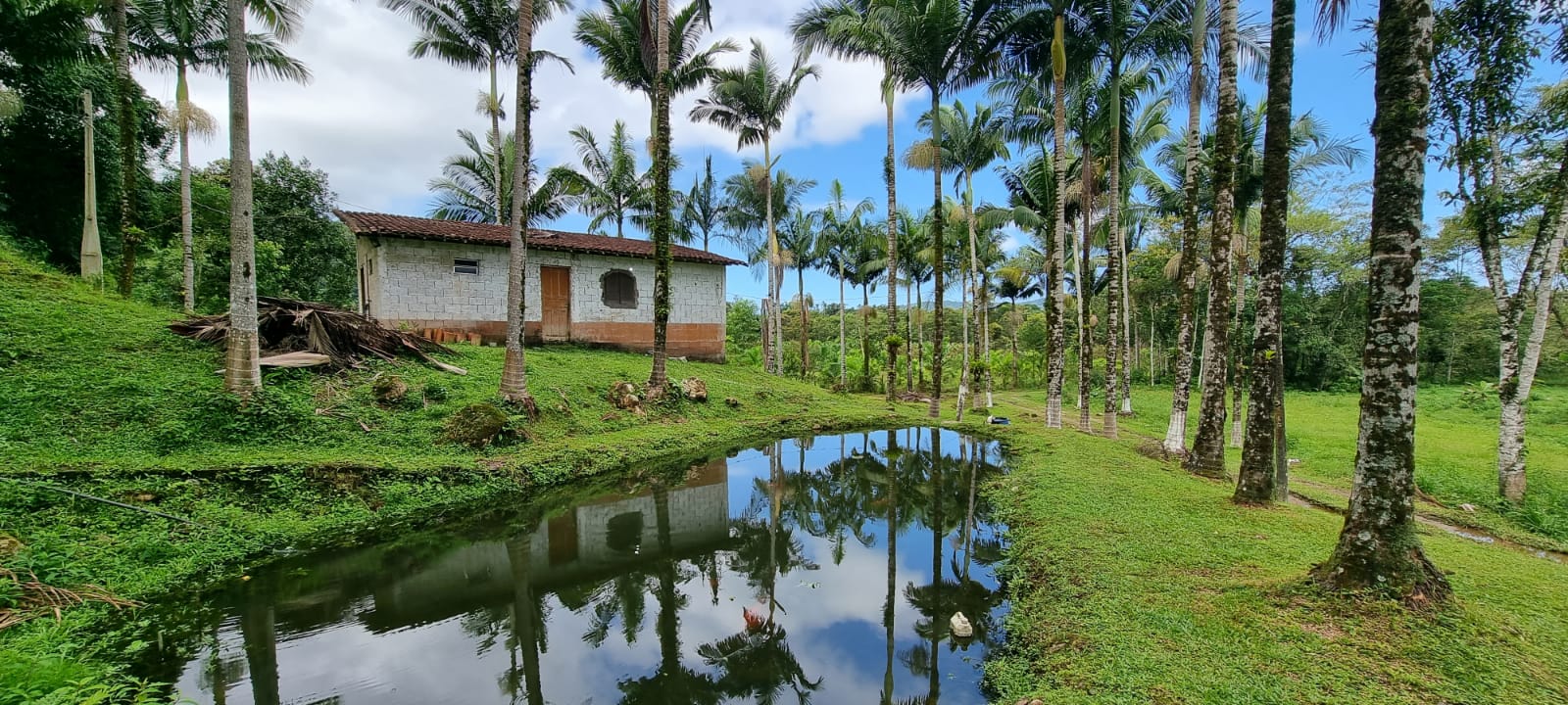 Chácara à venda com 2 quartos, 314600m² - Foto 12