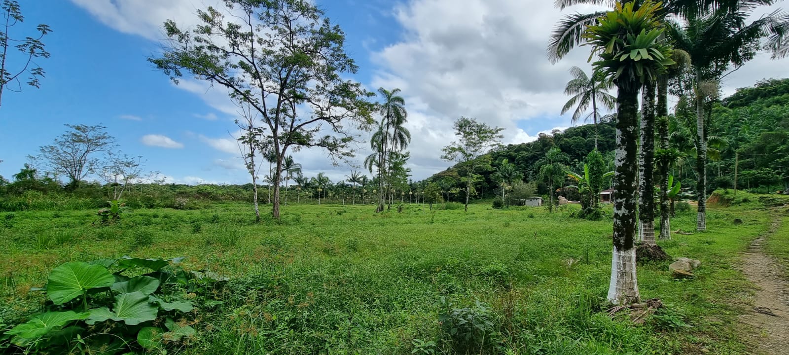 Chácara à venda com 2 quartos, 314600m² - Foto 8