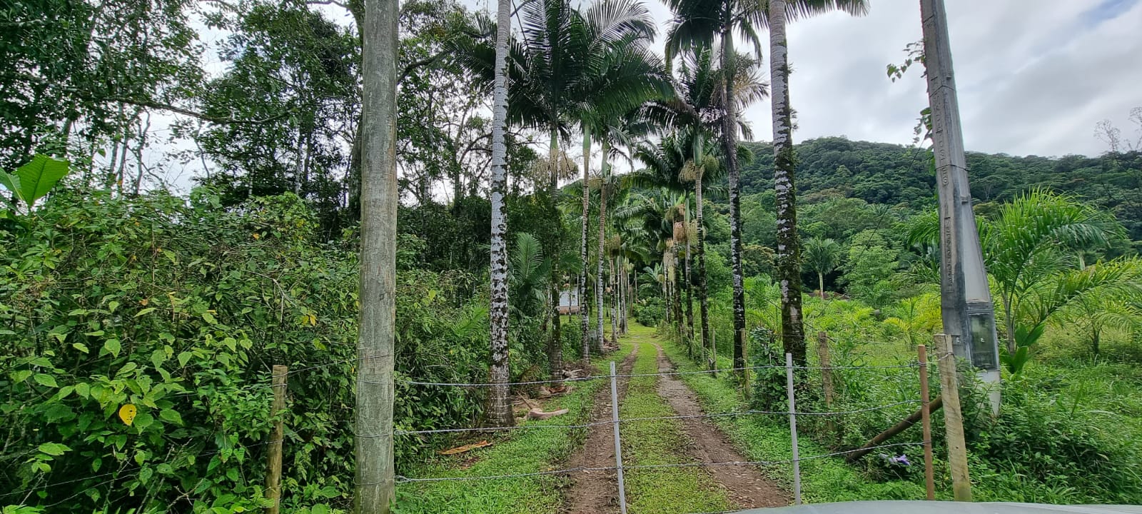 Chácara à venda com 2 quartos, 314600m² - Foto 7